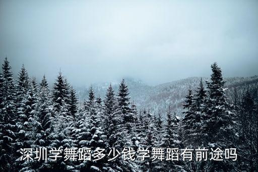 深圳学舞蹈多少钱学舞蹈有前途吗