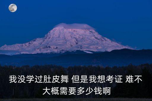 我没学过肚皮舞 但是我想考证 难不 大概需要多少钱啊
