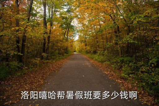 洛阳嘻哈帮暑假班要多少钱啊