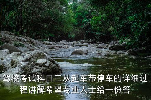 科目三视频全程讲解，宝峰科目三考试视频