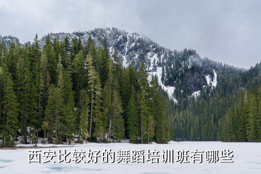 西安比较好的舞蹈培训班有哪些