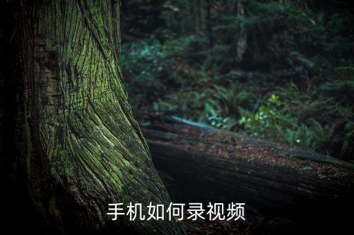 手机如何录视频