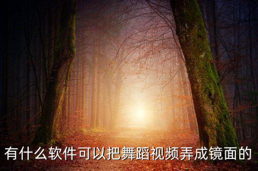 跳舞运镜的软件，什么软件可以镜面翻转b站的舞蹈视屏