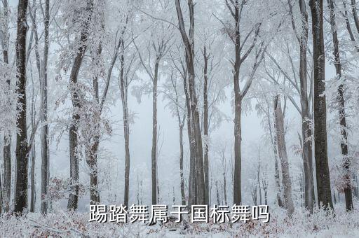 踢踏舞属于什么舞种，踢踏舞属于国标舞吗