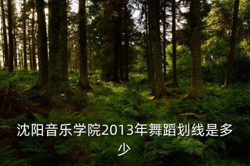 沈阳音乐学院舞蹈专业录取分数线，沈阳音乐学院舞蹈系文化分和专业分是多少