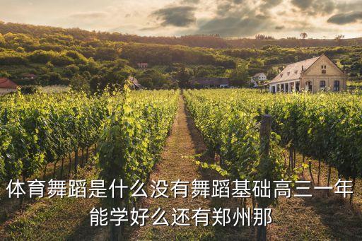 什么是体育舞蹈，体育舞蹈 是什么东东啊