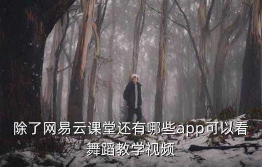 除了网易云课堂还有哪些app可以看舞蹈教学视频