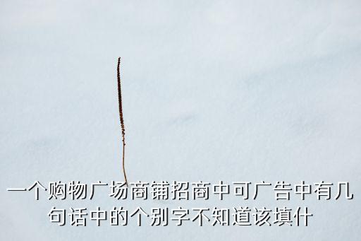 一个购物广场商铺招商中可广告中有几句话中的个别字不知道该填什