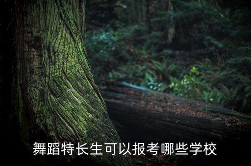 舞蹈特长生可以报考哪些学校