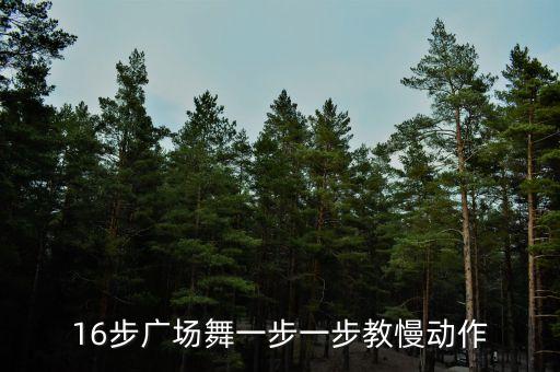 16步广场舞一步一步教慢动作