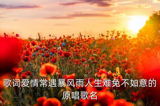 歌词爱情常遇暴风雨人生难免不如意的原唱歌名