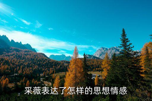 采薇表达了怎样的思想情感