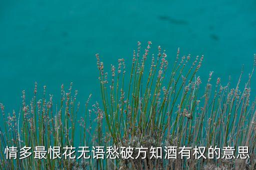 情多最恨花无语愁破方知酒有权的意思