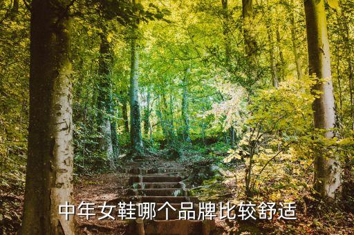 中年女鞋哪个品牌比较舒适