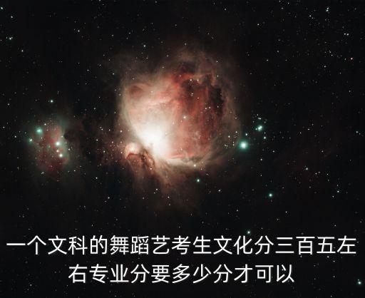 一个文科的舞蹈艺考生文化分三百五左右专业分要多少分才可以