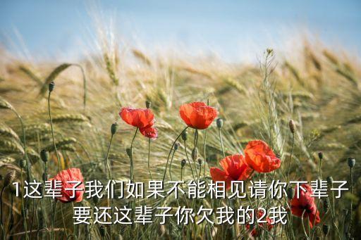 1这辈子我们如果不能相见请你下辈子要还这辈子你欠我的2我