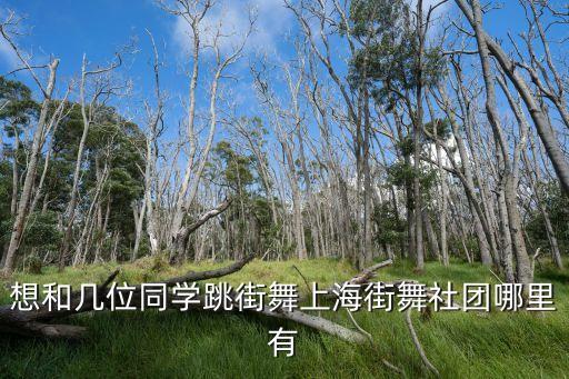 想和几位同学跳街舞上海街舞社团哪里有