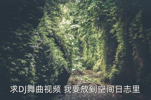 dj有什么舞蹈视频在线观看，求很嗨超劲爆的DJ舞曲视频