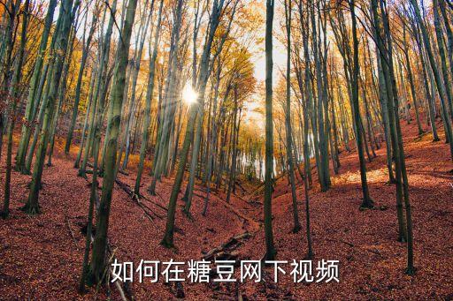 糖豆网怎么下载视频怎么下载到手机，糖豆的视频怎么下载
