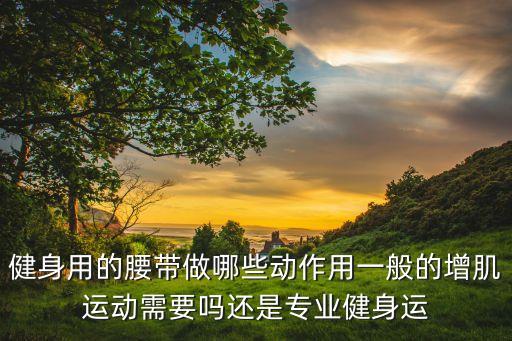 健身用的腰带做哪些动作用一般的增肌运动需要吗还是专业健身运