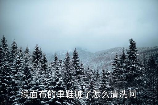 缎面的鞋怎么清洗啊，绸缎鞋怎么清洗