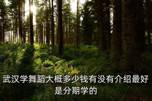 武汉学舞蹈大概多少钱有没有介绍最好是分期学的