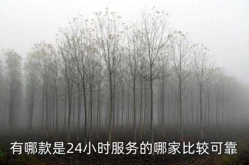 有哪款是24小时服务的哪家比较可靠