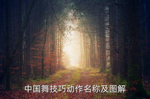 舞蹈入门20个基本动作图片名称，中国舞技巧动作名称及图解
