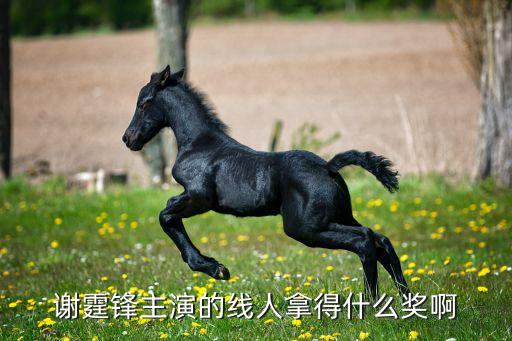 小荷风采有什么奖，谢霆锋主演的线人拿得什么奖啊