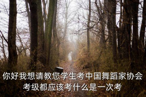 你好我想请教您学生考中国舞蹈家协会考级都应该考什么是一次考