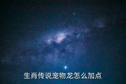 生肖传说宠物龙怎么加点