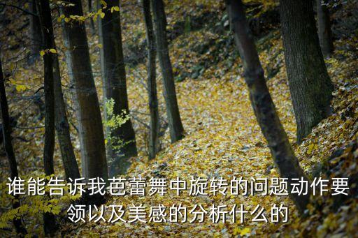 谁能告诉我芭蕾舞中旋转的问题动作要领以及美感的分析什么的