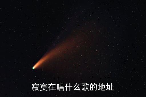 寂寞在唱什么歌的地址