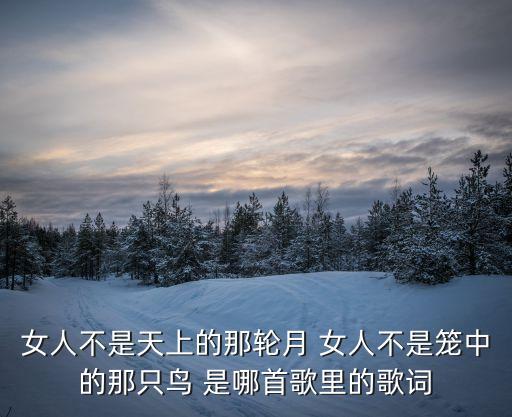 广场舞女人不是什么歌，女人不是水啊男人不是筐是哪首歌的歌词啊