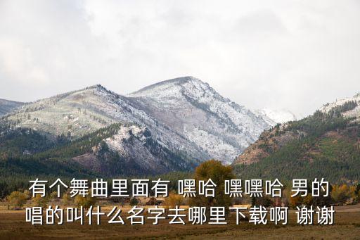 有个舞曲里面有 嘿哈 嘿嘿哈 男的唱的叫什么名字去哪里下载啊 谢谢