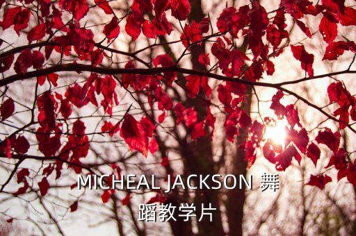 MICHEAL JACKSON 舞蹈教学片