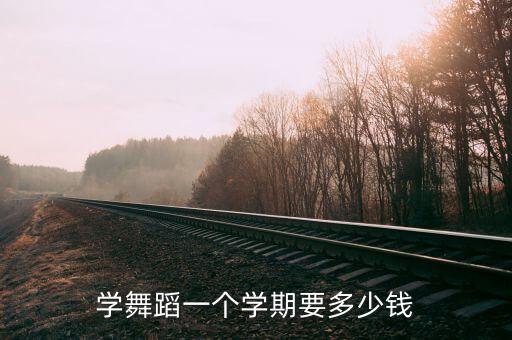 2017年学跳舞多少钱，学舞蹈一个学期要多少钱