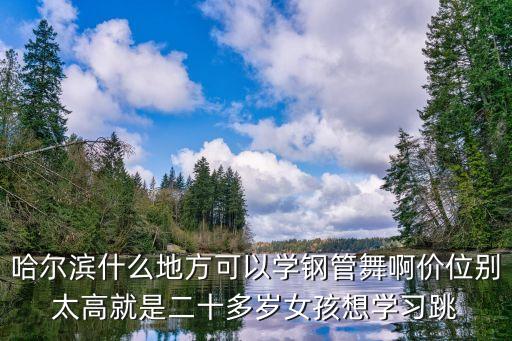 哈尔滨什么地方可以学钢管舞啊价位别太高就是二十多岁女孩想学习跳
