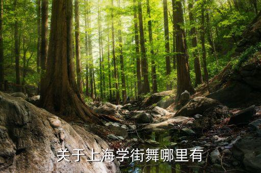 关于上海学街舞哪里有