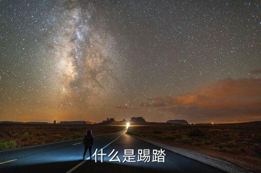 什么是踢踏