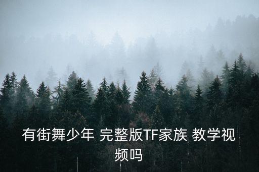 有街舞少年 完整版TF家族 教学视频吗