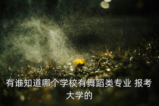 有谁知道哪个学校有舞蹈类专业 报考大学的