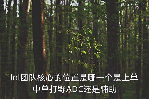 映容雪广场舞是哪里的队伍，lol团队核心的位置是哪一个是上单中单打野ADC还是辅助