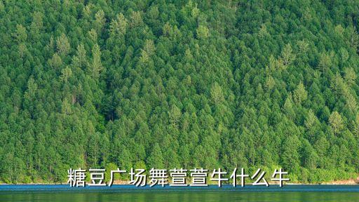 糖豆广场舞萱萱牛什么牛