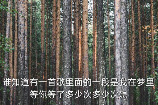 谁知道有一首歌里面的一段是我在梦里等你等了多少次多少次想