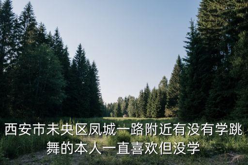 西安市未央区凤城一路附近有没有学跳舞的本人一直喜欢但没学