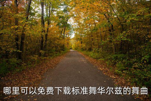 哪里可以免费下载标准舞华尔兹的舞曲