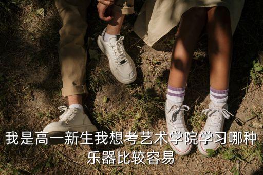 艺考最容易过的乐器，在山东 艺考哪种乐器容易通过
