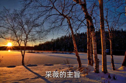 舞蹈采薇表现什么意思，采薇表达了怎样的思想情感