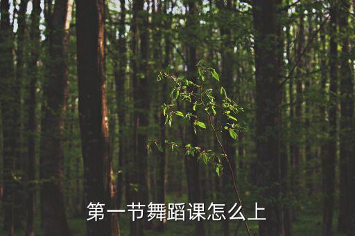 第一节舞蹈课怎么上